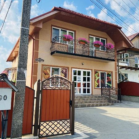 U Maksa Hotel Solochyn Eksteriør billede