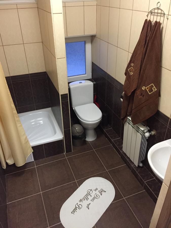 U Maksa Hotel Solochyn Eksteriør billede