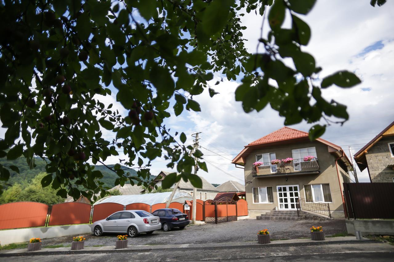 U Maksa Hotel Solochyn Eksteriør billede